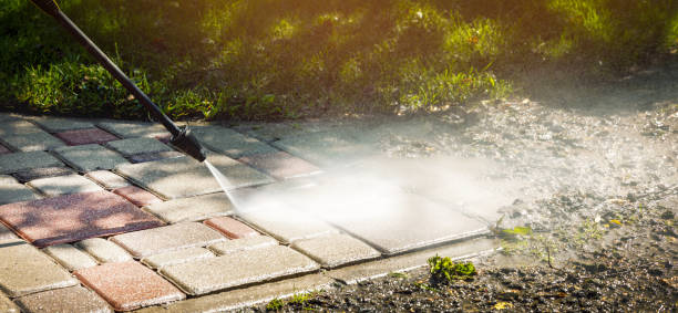 Best Fence Cleaning  in Shoshone, ID