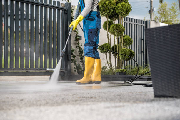 Best House Exterior Washing  in Shoshone, ID